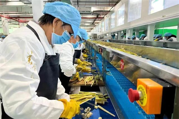 重生七零年代手撕顶替我女儿上清北的嫂子一家 霍山麦云 七十年代高考恢复后,女儿信誓旦旦地说一定要考上清北大学为我争光。 可没想到她却落榜了。_悠悠_婆婆_带着