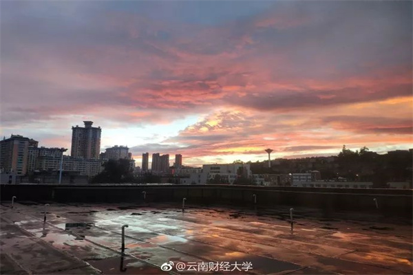 支持劳动密集型产业吸纳就业