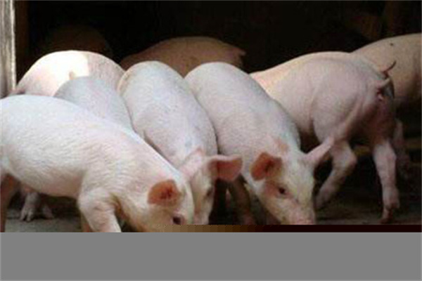 ATFX：美国CPI数据来袭，叠加欧央行利率决议，预期本周行情火热