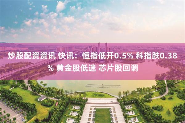 炒股配资资讯 快讯：恒指低开0.5% 科指跌0.38% 黄金股低迷 芯片股回调