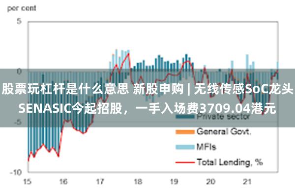 股票玩杠杆是什么意思 新股申购 | 无线传感SoC龙头SENASIC今起招股，一手入场费3709.04港元