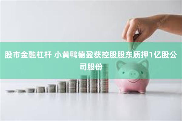 股市金融杠杆 小黄鸭德盈获控股股东质押1亿股公司股份