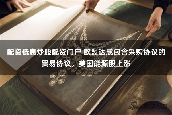配资低息炒股配资门户 欧盟达成包含采购协议的贸易协议，美国能源股上涨