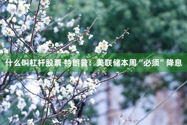 什么叫杠杆股票 特朗普：美联储本周“必须”降息