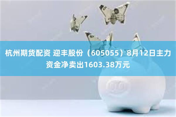 杭州期货配资 迎丰股份（605055）8月12日主力资金净卖出1603.38万元