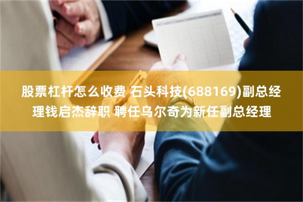 股票杠杆怎么收费 石头科技(688169)副总经理钱启杰辞职 聘任乌尔奇为新任副总经理