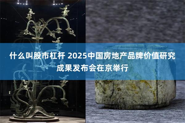 什么叫股市杠杆 2025中国房地产品牌价值研究成果发布会在京举行
