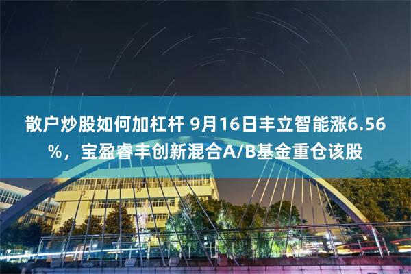 散户炒股如何加杠杆 9月16日丰立智能涨6.56%，宝盈睿丰创新混合A/B基金重仓该股