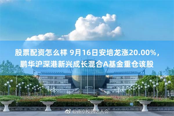 股票配资怎么样 9月16日安培龙涨20.00%，鹏华沪深港新兴成长混合A基金重仓该股