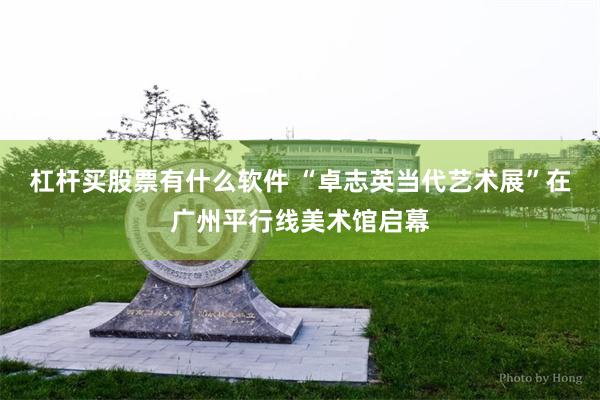 杠杆买股票有什么软件 “卓志英当代艺术展”在广州平行线美术馆启幕