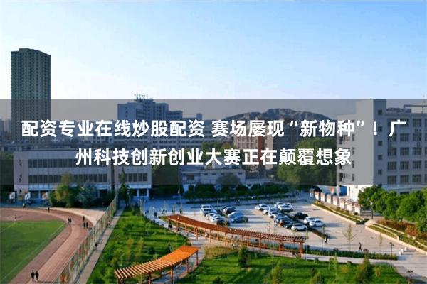 配资专业在线炒股配资 赛场屡现“新物种”！广州科技创新创业大赛正在颠覆想象