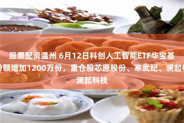 股票配资温州 6月12日科创人工智能ETF华宝基金份额增加1200万份,重仓股芯原股份、寒武纪、澜起科技