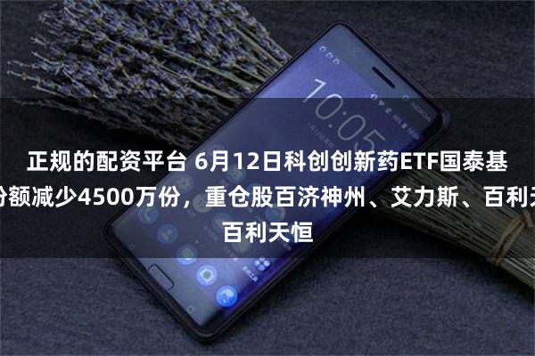 正规的配资平台 6月12日科创创新药ETF国泰基金份额减少4500万份，重仓股百济神州、艾力斯、百利天恒