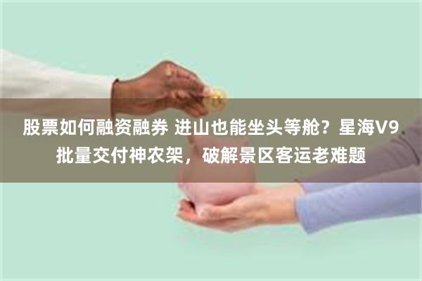 股票如何融资融券 进山也能坐头等舱？星海V9批量交付神农架，破解景区客运老难题