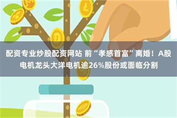 配资专业炒股配资网站 前“孝感首富”离婚！A股电机龙头大洋电机逾26%股份或面临分割