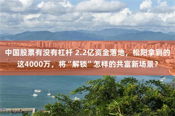 中国股票有没有杠杆 2.2亿资金落地，松阳拿到的这4000万，将“解锁”怎样的共富新场景？