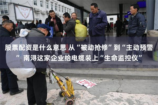 股票配资是什么意思 从“被动抢修”到“主动预警” 南浔这家企业给电缆装上“生命监控仪”