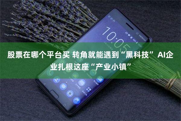 股票在哪个平台买 转角就能遇到“黑科技” AI企业扎根这座“产业小镇”