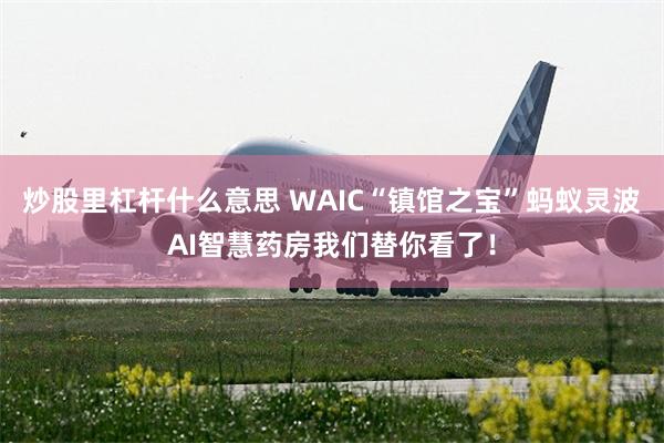 炒股里杠杆什么意思 WAIC“镇馆之宝”蚂蚁灵波AI智慧药房我们替你看了！