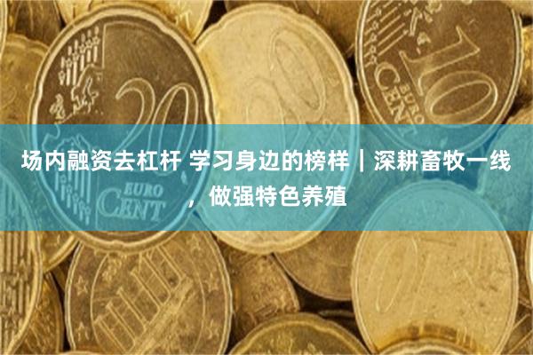 场内融资去杠杆 学习身边的榜样｜深耕畜牧一线，做强特色养殖