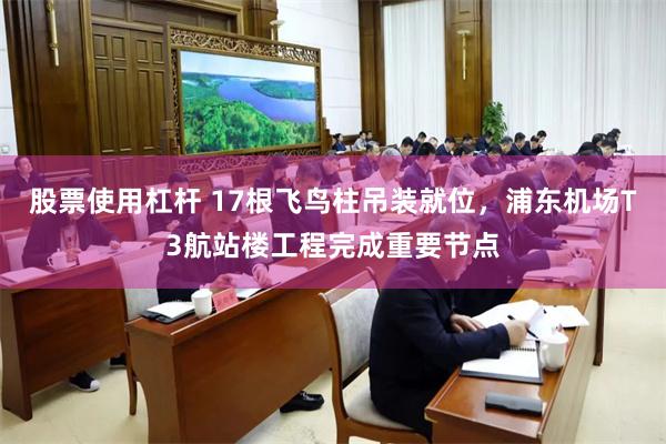 股票使用杠杆 17根飞鸟柱吊装就位，浦东机场T3航站楼工程完成重要节点