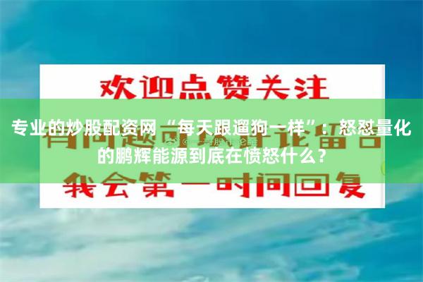 专业的炒股配资网 “每天跟遛狗一样”：怒怼量化的鹏辉能源到底在愤怒什么？