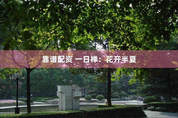 靠谱配资 一日禅：花开半夏