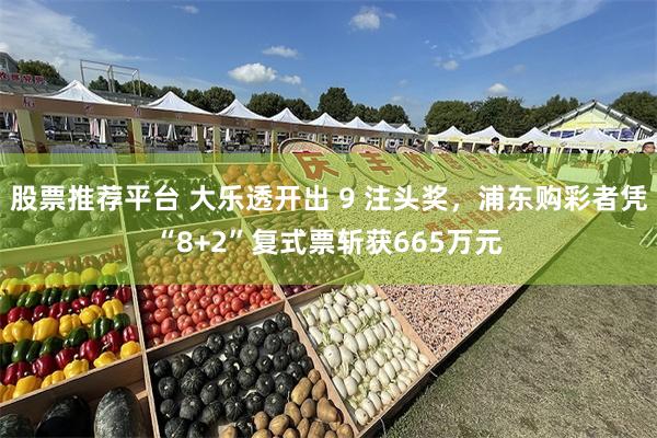 股票推荐平台 大乐透开出 9 注头奖，浦东购彩者凭“8+2”复式票斩获665万元