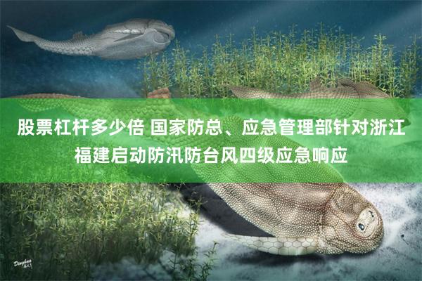 股票杠杆多少倍 国家防总、应急管理部针对浙江福建启动防汛防台风四级应急响应