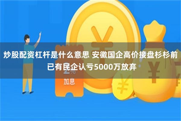 炒股配资杠杆是什么意思 安徽国企高价接盘杉杉前 已有民企认亏5000万放弃