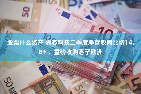 股票什么资产 雾芯科技二季度净营收同比增14.8%，重磅收购落子欧洲