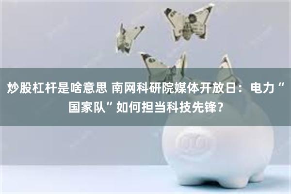 炒股杠杆是啥意思 南网科研院媒体开放日：电力“国家队”如何担当科技先锋？