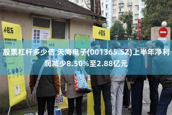 股票杠杆多少倍 天海电子(001365.SZ)上半年净利润减少8.50%至2.88亿元