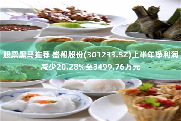 股票黑马推荐 盛帮股份(301233.SZ)上半年净利润减少20.28%至3499.76万元