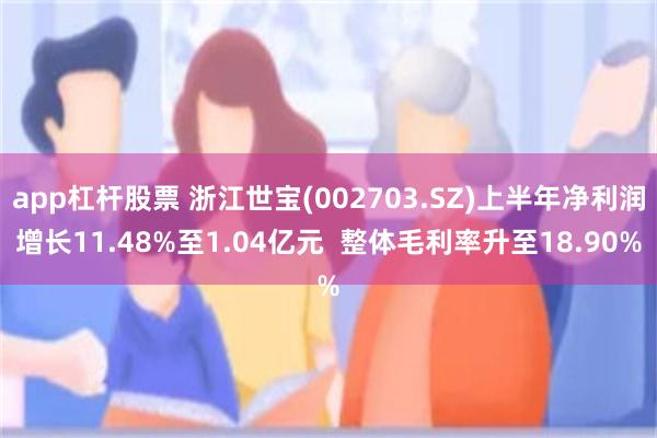 app杠杆股票 浙江世宝(002703.SZ)上半年净利润增长11.48%至1.04亿元  整体毛利率升至18.90%