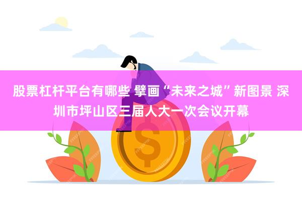 股票杠杆平台有哪些 擘画“未来之城”新图景 深圳市坪山区三届人大一次会议开幕