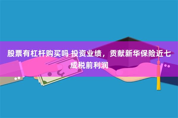 股票有杠杆购买吗 投资业绩，贡献新华保险近七成税前利润