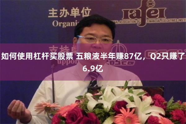 如何使用杠杆买股票 五粮液半年赚87亿，Q2只赚了6.9亿