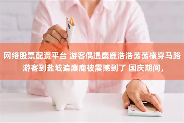 网络股票配资平台 游客偶遇麋鹿浩浩荡荡横穿马路 游客到盐城追麋鹿被震撼到了 国庆期间，