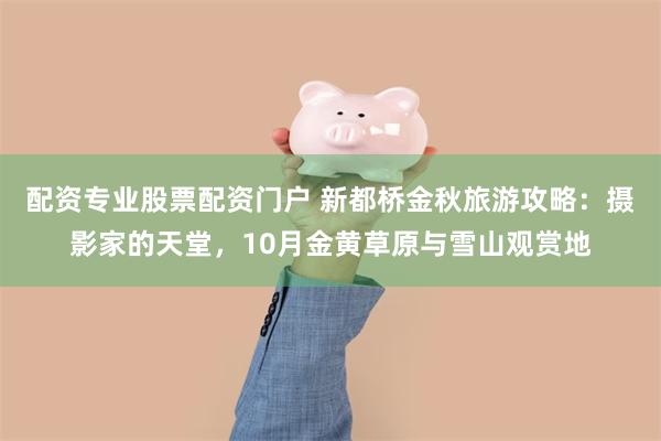 配资专业股票配资门户 新都桥金秋旅游攻略：摄影家的天堂，10月金黄草原与雪山观赏地