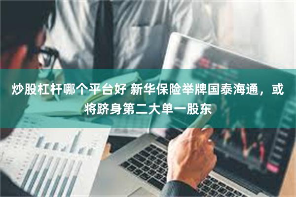 炒股杠杆哪个平台好 新华保险举牌国泰海通，或将跻身第二大单一股东