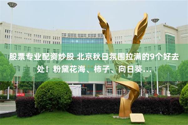 股票专业配资炒股 北京秋日氛围拉满的9个好去处！粉黛花海、柿子、向日葵…